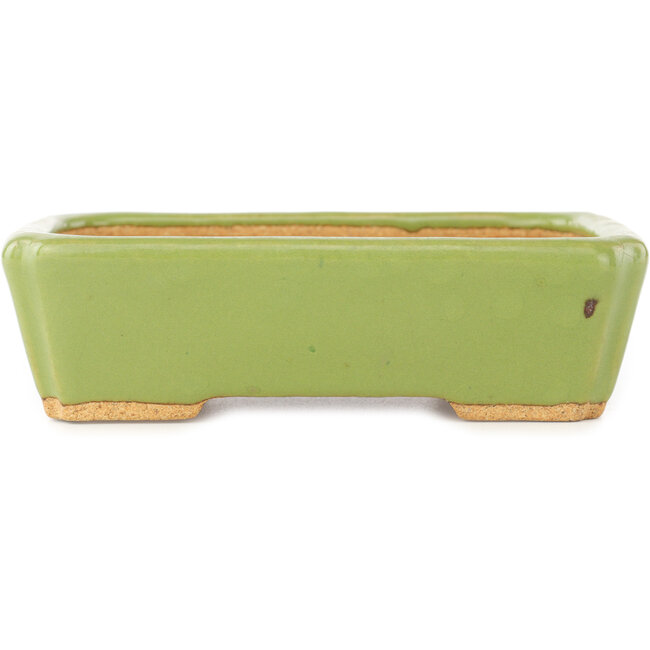 Maceta rectangular verde para bonsái de Hattori - 142 x 107 x 40 mm