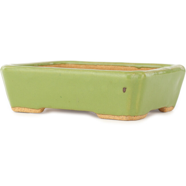 Maceta rectangular verde para bonsái de Hattori - 142 x 107 x 40 mm