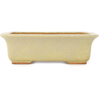  Hattori Tomoyuki Maceta rectangular blanca para bonsái de 175 mm de Hattori, Tokoname, Japón