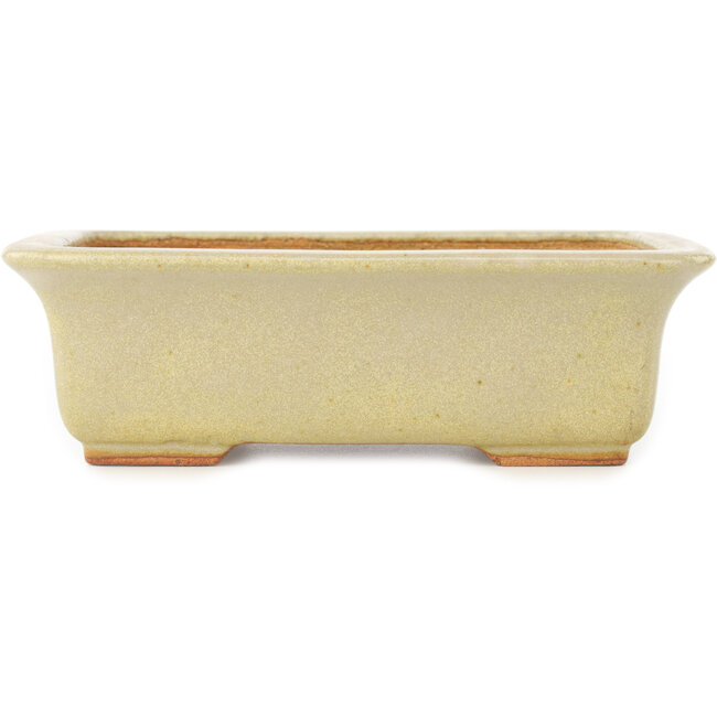 Rectangular white bonsai pot by Hattori - 175 x 130 x 55 mm