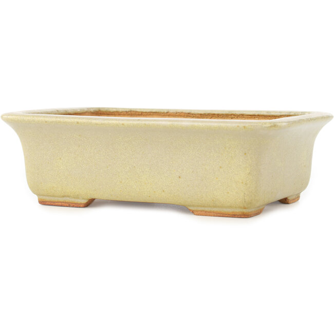 Rectangular white bonsai pot by Hattori - 175 x 130 x 55 mm