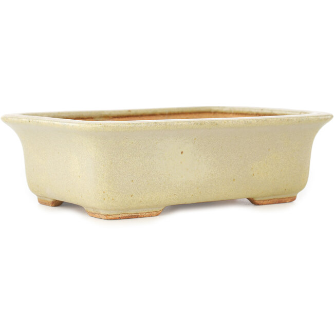 Vaso bonsai rettangolare bianco di Hattori - 175 x 130 x 55 mm