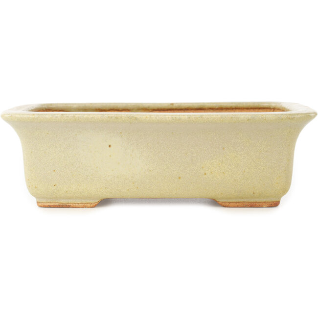 Rectangular white bonsai pot by Hattori - 175 x 130 x 55 mm