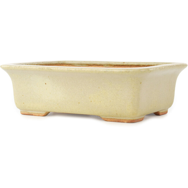 Pot à bonsaï rectangulaire blanc de Hattori - 175 x 130 x 55 mm