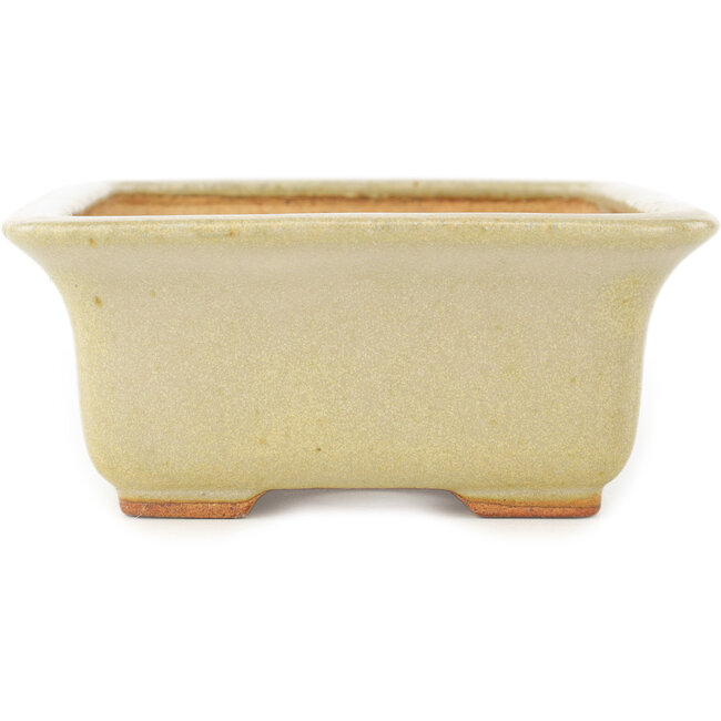 Maceta rectangular blanca para bonsái de Hattori - 175 x 130 x 55 mm