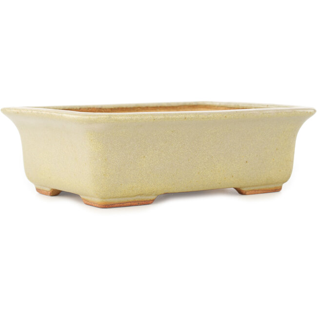Rechthoekige witte bonsai pot van Hattori - 175 x 130 x 55 mm