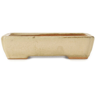  Hattori Tomoyuki 151 mm rectangular white bonsai pot by Hattori, Tokoname, Japan