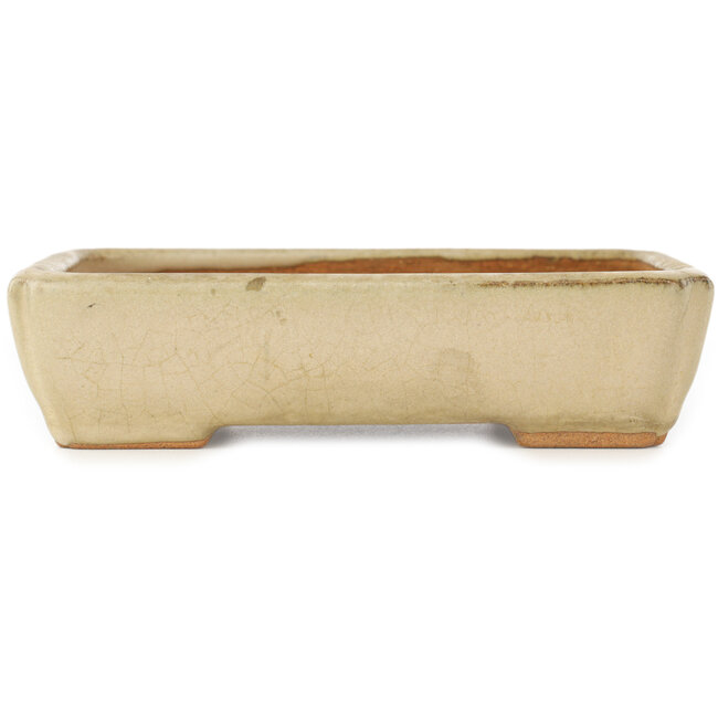 Rectangular white bonsai pot by Hattori - 151 x 115 x 40 mm