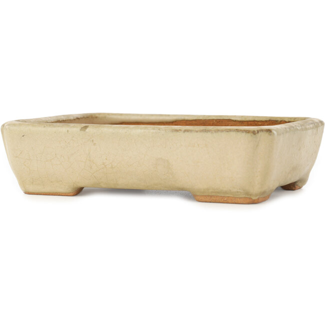 Maceta rectangular blanca para bonsái de Hattori - 151 x 115 x 40 mm