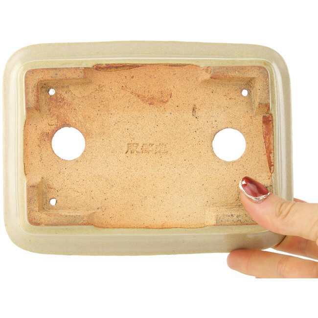 Pot à bonsaï rectangulaire blanc de Hattori - 175 x 130 x 55 mm