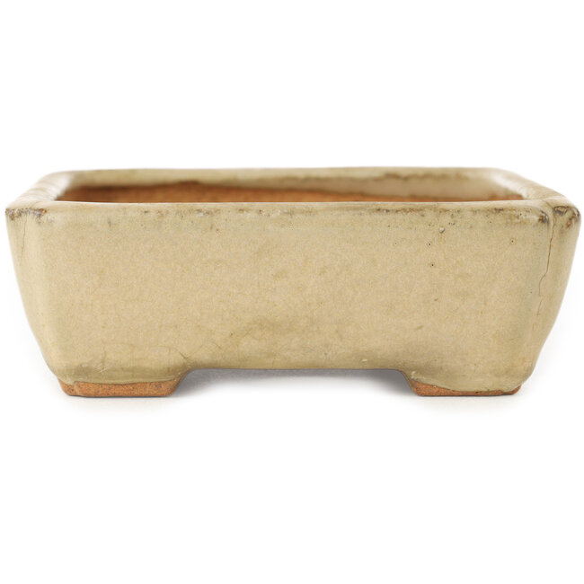 Pot à bonsaï rectangulaire blanc de Hattori - 151 x 115 x 40 mm