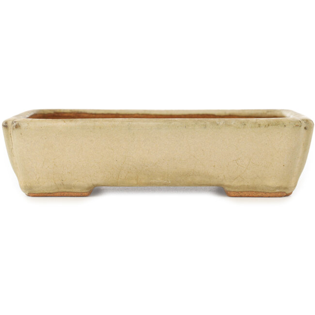 Rectangular white bonsai pot by Hattori - 151 x 115 x 40 mm