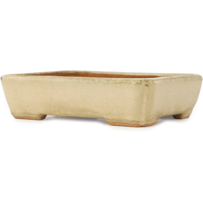 Vaso bonsai rettangolare bianco di Hattori - 151 x 115 x 40 mm