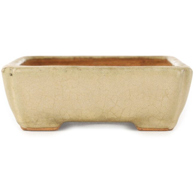 Pot à bonsaï rectangulaire blanc de Hattori - 151 x 115 x 40 mm