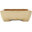Rectangular white bonsai pot by Hattori - 151 x 115 x 40 mm