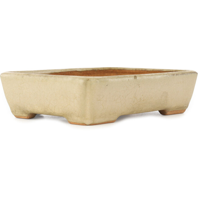 Pot à bonsaï rectangulaire blanc de Hattori - 151 x 115 x 40 mm