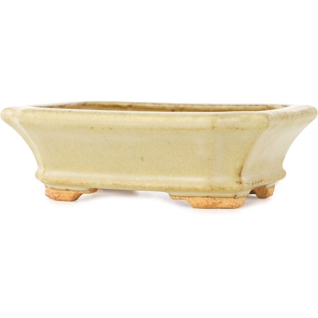 Rechthoekige witte bonsai pot van Hattori - 143 x 112 x 47 mm