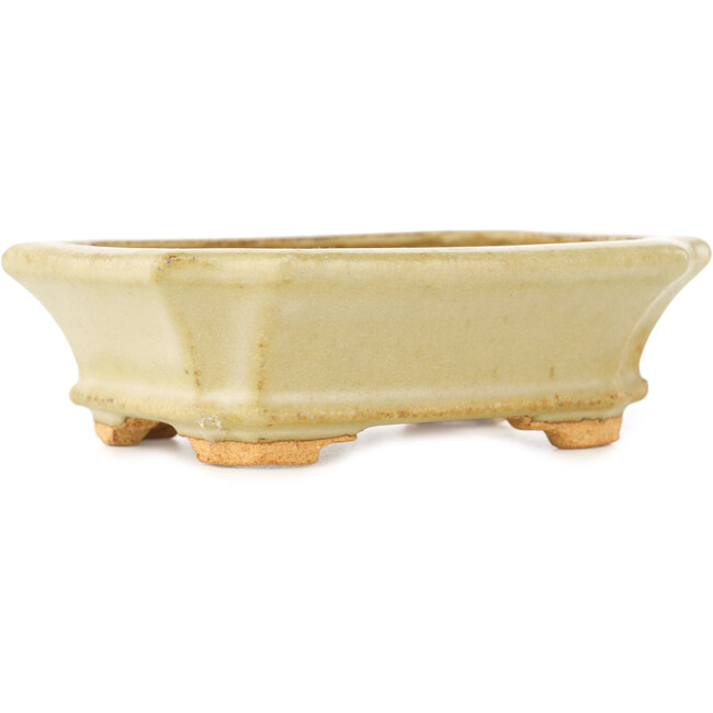 Rectangular white bonsai pot by Hattori - 143 x 112 x 47 mm