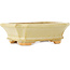 Rectangular white bonsai pot by Hattori - 143 x 112 x 47 mm