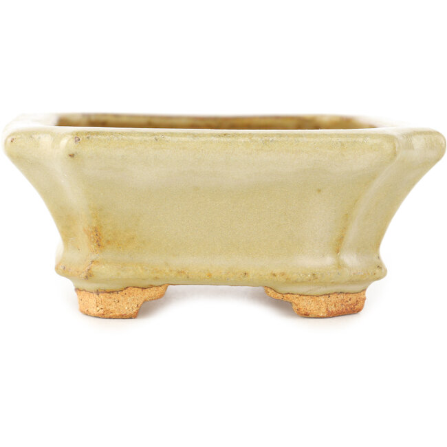 Pot à bonsaï rectangulaire blanc de Hattori - 143 x 112 x 47 mm