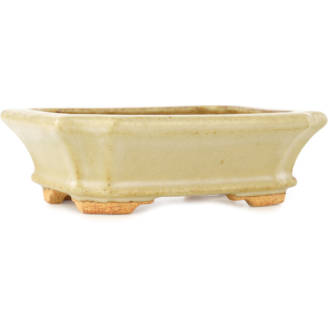 Rechthoekige witte bonsai pot van Hattori - 143 x 112 x 47 mm