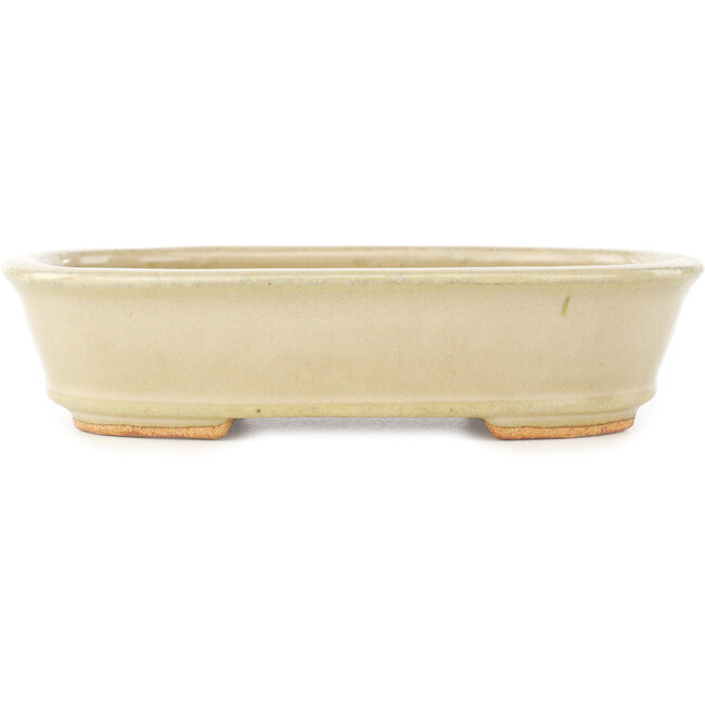 Maceta ovalada blanca para bonsái de Hattori - 160 x 117 x 38 mm