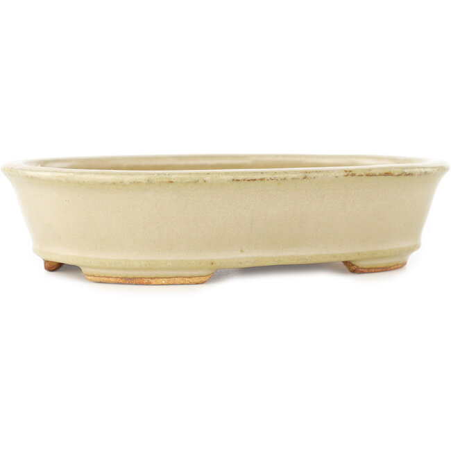 Vaso bonsai ovale bianco di Hattori - 160 x 117 x 38 mm