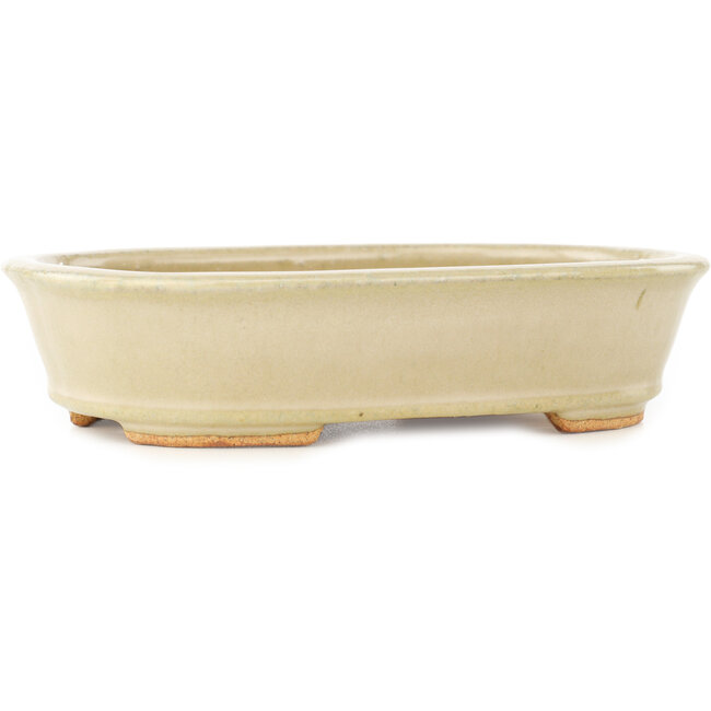 Vaso bonsai ovale bianco di Hattori - 160 x 117 x 38 mm