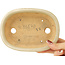 Oval white bonsai pot by Hattori - 160 x 117 x 38 mm