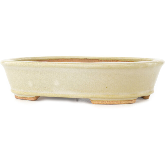 Maceta ovalada blanca para bonsái de Hattori - 160 x 117 x 38 mm