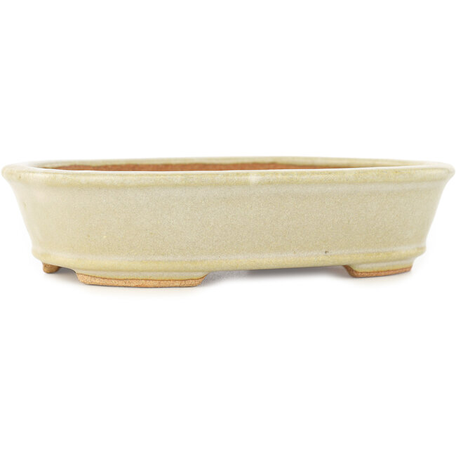 Maceta ovalada blanca para bonsái de Hattori - 160 x 117 x 38 mm