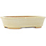 Oval white bonsai pot by Hattori - 160 x 117 x 38 mm