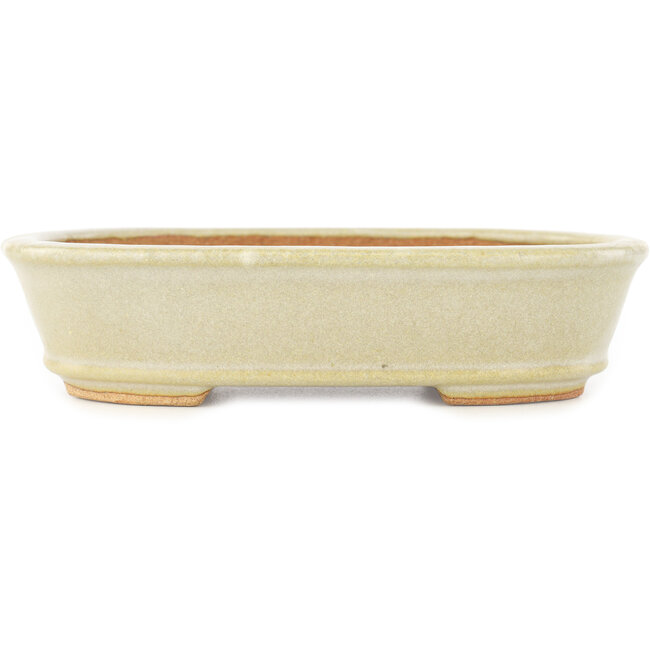 Pot à bonsaï ovale blanc de Hattori - 160 x 117 x 38 mm