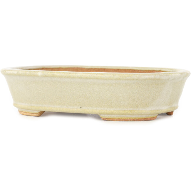 Oval white bonsai pot by Hattori - 160 x 117 x 38 mm
