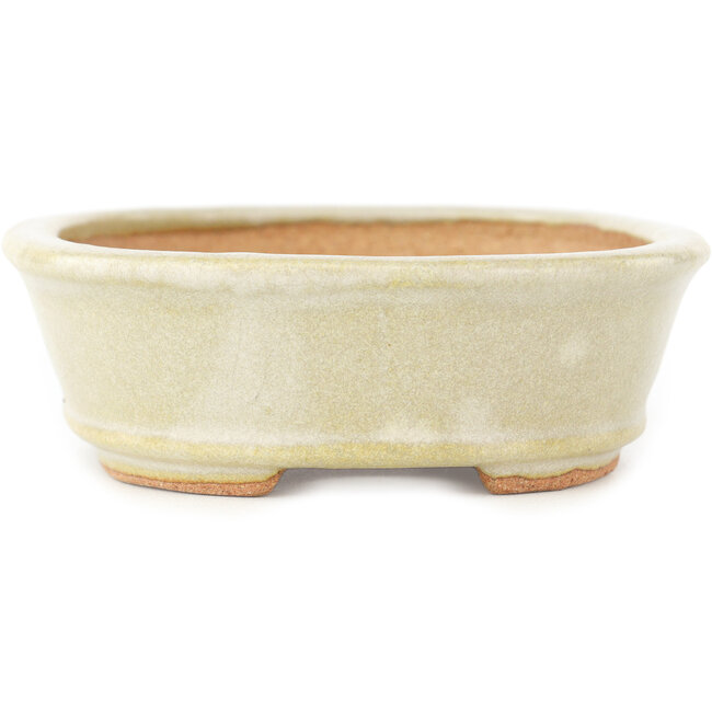 Maceta ovalada blanca para bonsái de Hattori - 160 x 117 x 38 mm