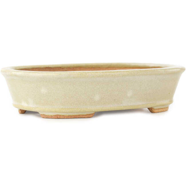 Vaso bonsai ovale bianco di Hattori - 160 x 117 x 38 mm