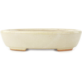  Hattori Tomoyuki 165 mm ovale witte bonsaipot van Hattori, Tokoname, Japan