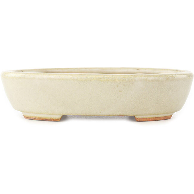Vaso bonsai ovale bianco di Hattori - 165 x 127 x 40 mm