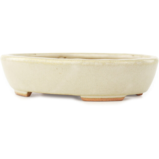 Pot à bonsaï ovale blanc de Hattori - 165 x 127 x 40 mm