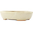 Vaso bonsai ovale bianco di Hattori - 165 x 127 x 40 mm