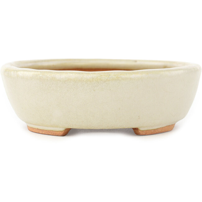 Maceta ovalada blanca para bonsái de Hattori - 165 x 127 x 40 mm