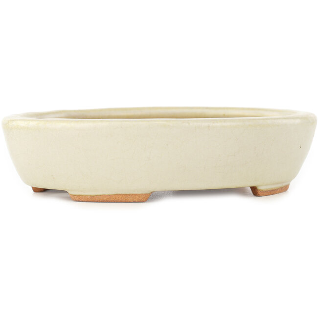 Pot à bonsaï ovale blanc de Hattori - 165 x 127 x 40 mm