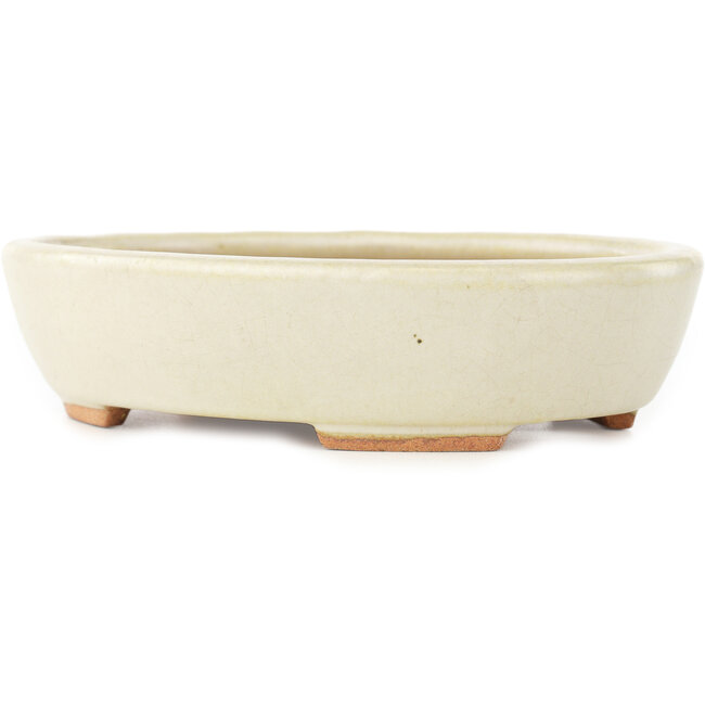 Maceta ovalada blanca para bonsái de Hattori - 165 x 127 x 40 mm