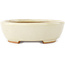 Ovale witte bonsai pot van Hattori - 165 x 127 x 40 mm