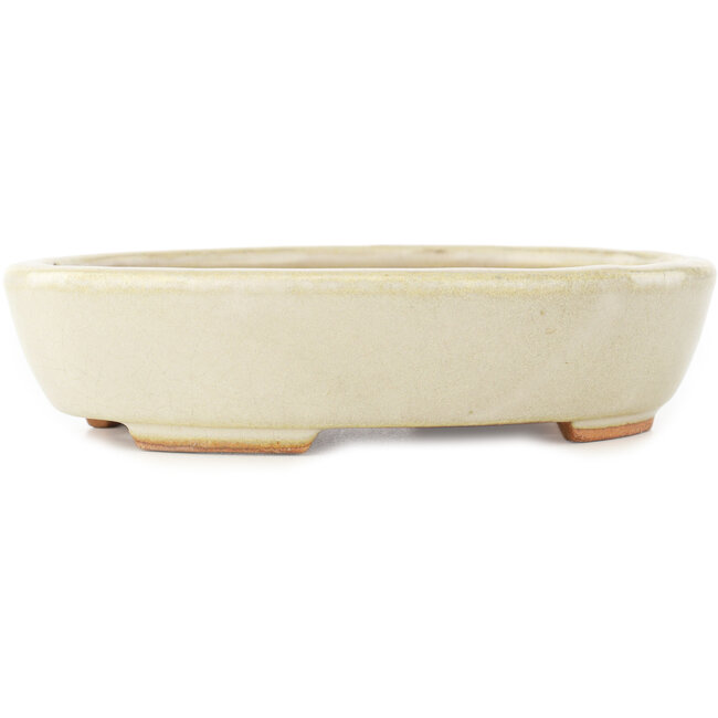 Ovale witte bonsai pot van Hattori - 165 x 127 x 40 mm