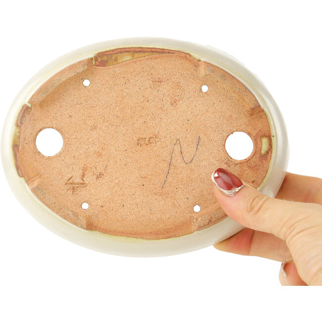 Vaso bonsai ovale bianco di Hattori - 165 x 127 x 40 mm