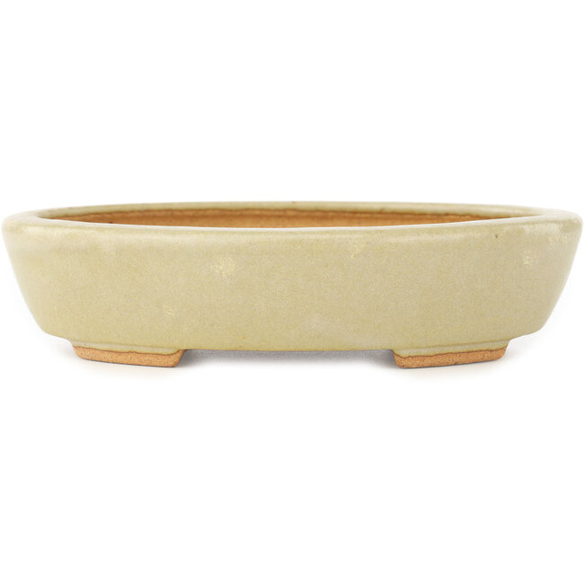 Vaso bonsai ovale bianco di Hattori - 165 x 127 x 40 mm