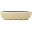 Vaso bonsai ovale bianco di Hattori - 165 x 127 x 40 mm