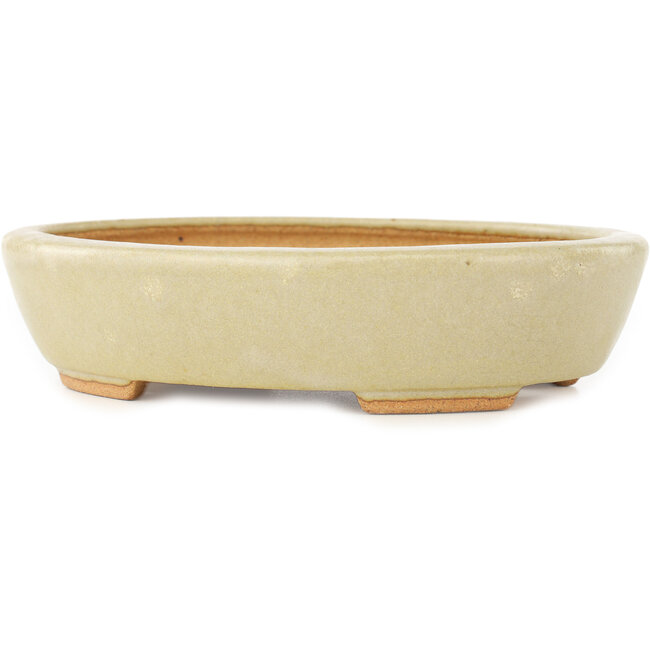 Vaso bonsai ovale bianco di Hattori - 165 x 127 x 40 mm