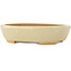 Vaso bonsai ovale bianco di Hattori - 165 x 127 x 40 mm